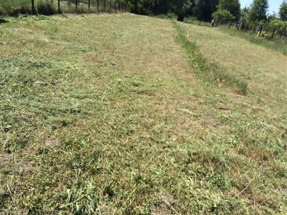 земля для забудови  та огороду сад Рівне
