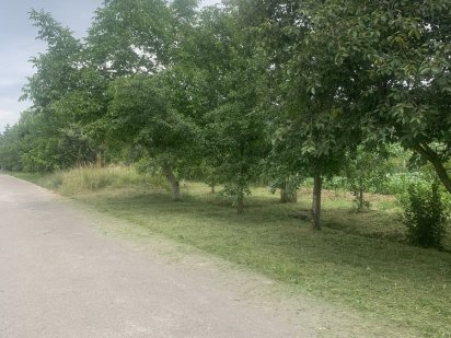 Продаж ділянки 20 сотин Доманинці