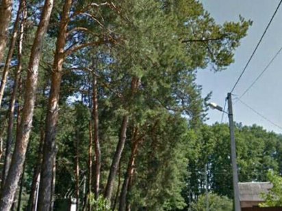 Участок 16 соток.  Вакуленцы Полтава