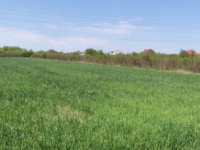 Продаж ділянки 32 сотин на Табла