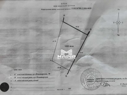 Лісок: Унікальна ділянка в дубовому гаї Полтава