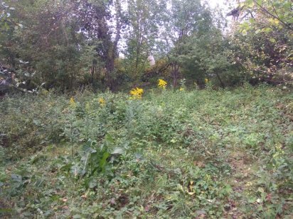 Земельна ділянка під забудову Чернівці