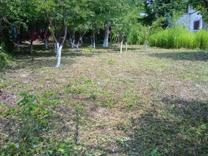 Земельна ділянка 0.6 га Чернівці