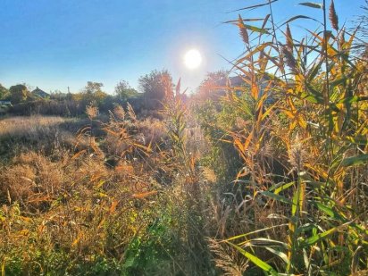 Земельна ділянка в класному районі під забудову! 12 соток Черкаси