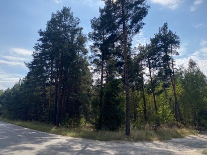 20 соток, Быковня, Деснянский р-н, Лесная Сказка, Сосновый Бор Київ