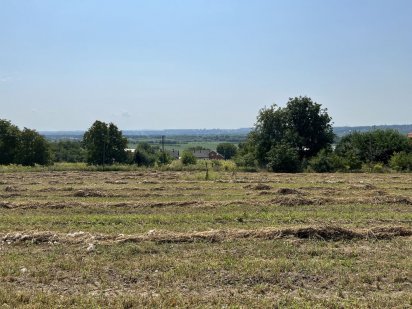 Продаж ділянки під лісом для житлової забудови (Магала, Буда) Черновцы