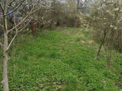 Земельна ділянка Чернівці