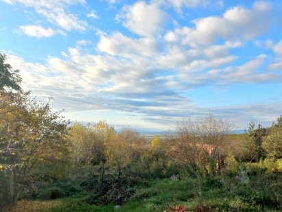 6 сот, кутова, рн вул Північної, Виноградівської, поруч ліс, панорама