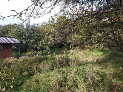 Продам дачну ділянку. Чернівці