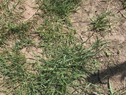 Ділянка під забудову, Шпанів Рівне