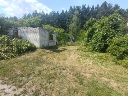 Дача у леса 5 соток!!! Фруктовый сад + коробка дома в с.о. "Юбилейное" Чернигов