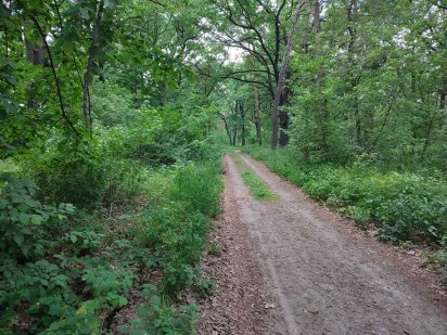Продам ділянку р-н Соснівка Черкаси