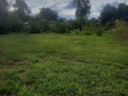 Дача Пролетарський Гай СО Енергетик 6.2 сотки Чернигов