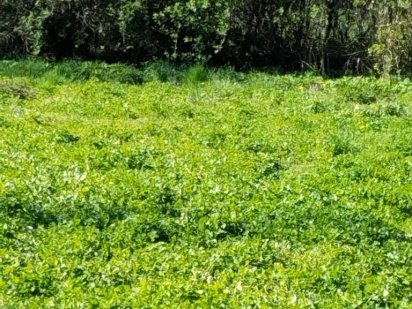 Земельна ділянка Рівне