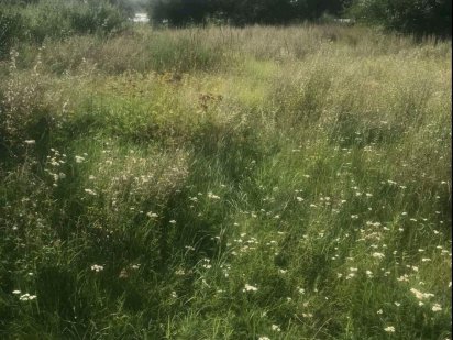 Продаж земельної ділянки в районі "Д" Черкаси