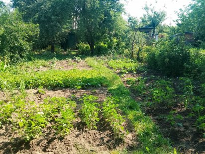 продам участок с домиком Чернигов