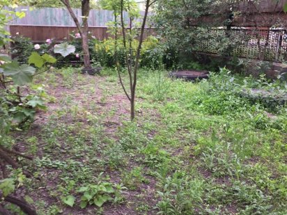 Продам  участок  5 сот + гараж  Богуния Житомир