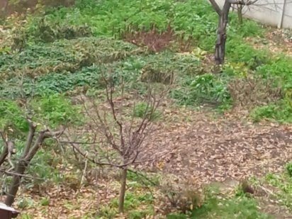 Продам земельну ділянку 6 соток Барське шосе! Винница