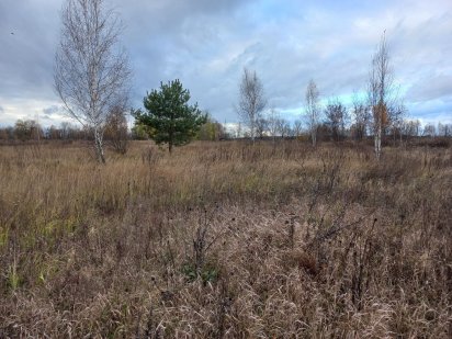 Участок район ЗАЗ Чернигов