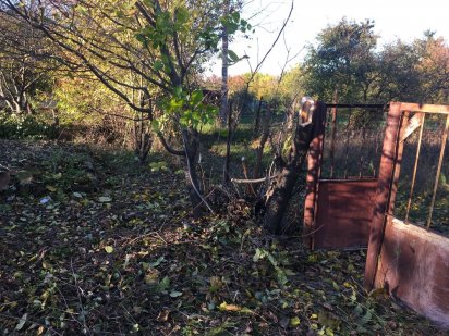 дача общ квинтете Чернигов