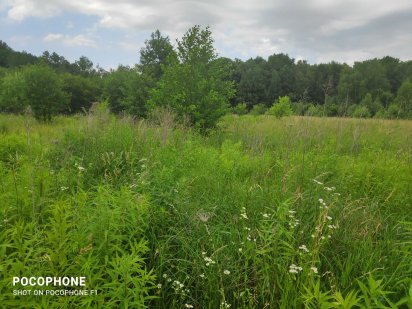 Продам два смежных приватизированных участка по 10 соток СОТ "Крошня" Житомир