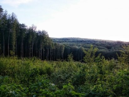 Ділянка Цецино Чернівці Чернівці