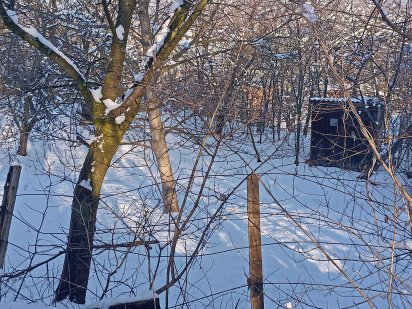 земельна ділянка Чернівці