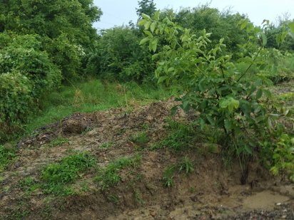 Земельна ділянка для садівництва вул. Сокирянська (р-н Сторожинецької) Черновцы
