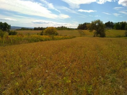 Продається земельна ділянка Черновцы