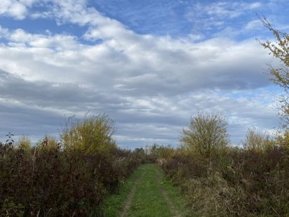 Продаж ділянки в Садовому Ужгород