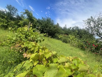 Продаж ділянки! М-он Джерельна!