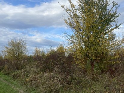 Продаж земельноі ділянки на Червениці під забудову Ужгород