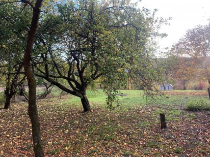 Земельна ділянка для забудови по 3-му провулку Якова Степового Черновцы