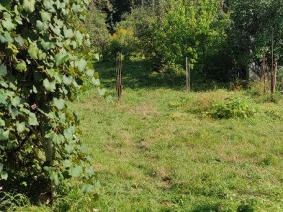 Продам дачний участок Черновцы