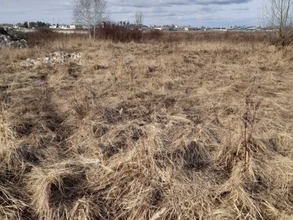 12 соток у Соломянському районі. Панорамний вид на Київ. Киев