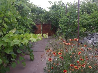 Дачный участок ,с Владимировка