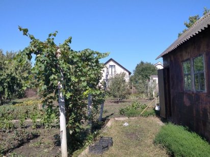 Продам дачу. Срочно!