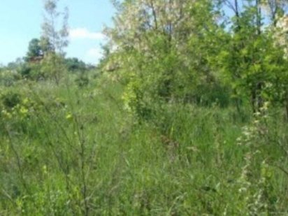 Продам земельну ділянку в місті Ужгород