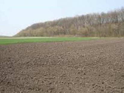 Пай земельный Вольнянский р-н