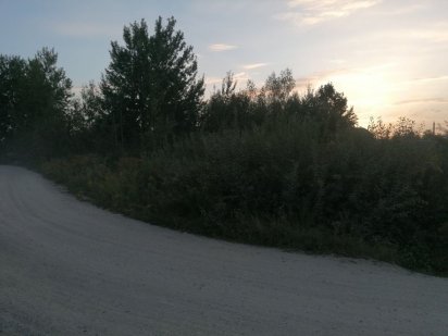 Ділянка землі на давидівському масиві Житомир