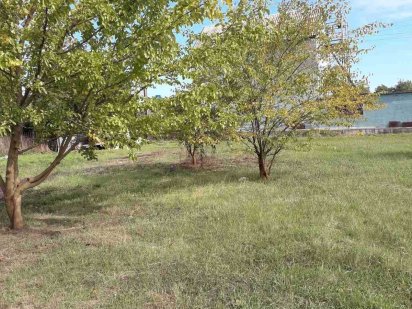 Дачный участок Приднепровск , Чапли Дніпро