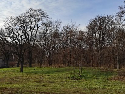 Меняю земельный участок Житомир