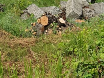 Продам участок 10 соток Круглик Киев