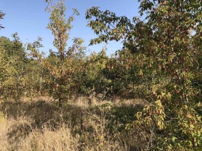 Продаж земельної ділянки у власність площею 0,1500 га, м. Вінниця. Винница