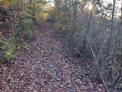 Продам участок 25 соток Ужгород