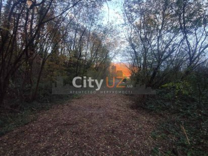 Продається земельна ділянка площею 54.5с. Ужгород