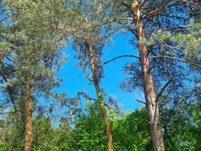 Земельна ділянка 10 соток Кущівка/Завадівка