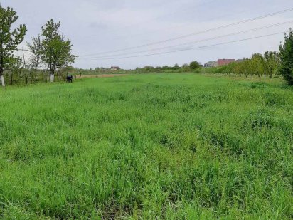 Продається ділянка на початку Тарнівців