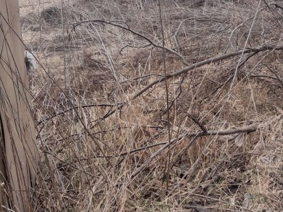 Продаж землі на хінчанці Житомир