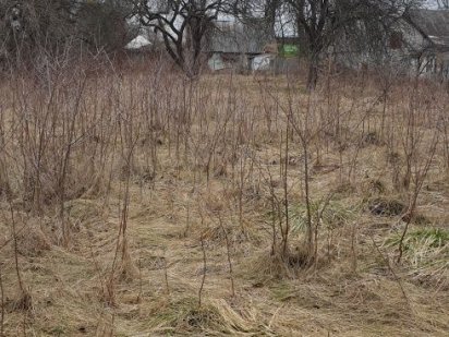 Продаж земельної ділянки 20 сот., Київське шосе. Житомир